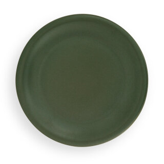 Flat plate (dinner plate) in decor zielon