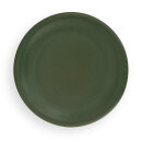 Flat plate (dinner plate) in decor zielon