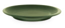 Flat plate (dinner plate) in decor zielon