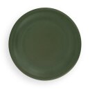 Flat plate (dinner plate) in decor zielon